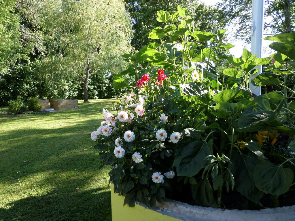 Skogis Bed & Breakfast Katrineholm Bagian luar foto