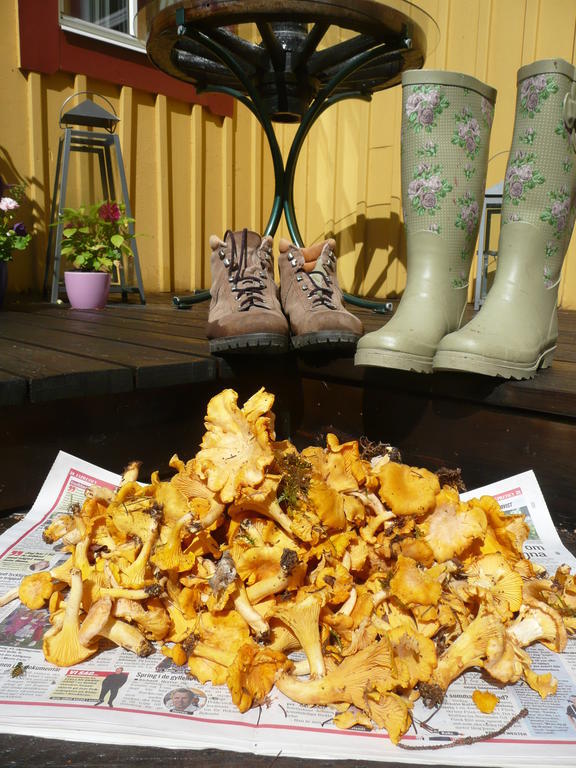 Skogis Bed & Breakfast Katrineholm Bagian luar foto