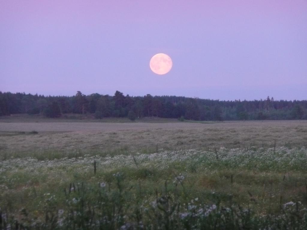 Skogis Bed & Breakfast Katrineholm Bagian luar foto