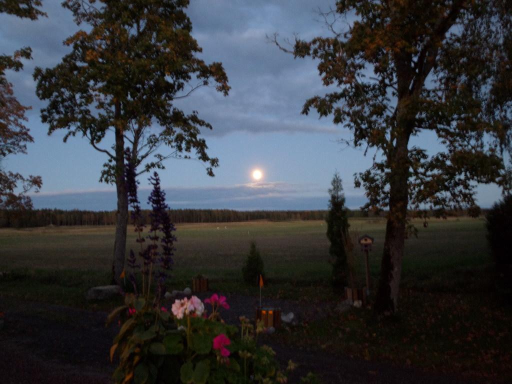 Skogis Bed & Breakfast Katrineholm Bagian luar foto